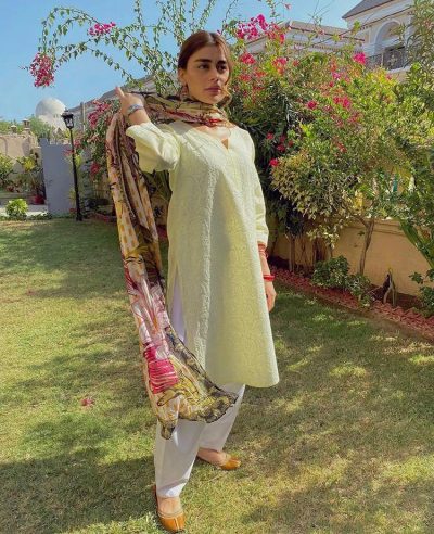 Lucknowii Chickankari Kurta Nude